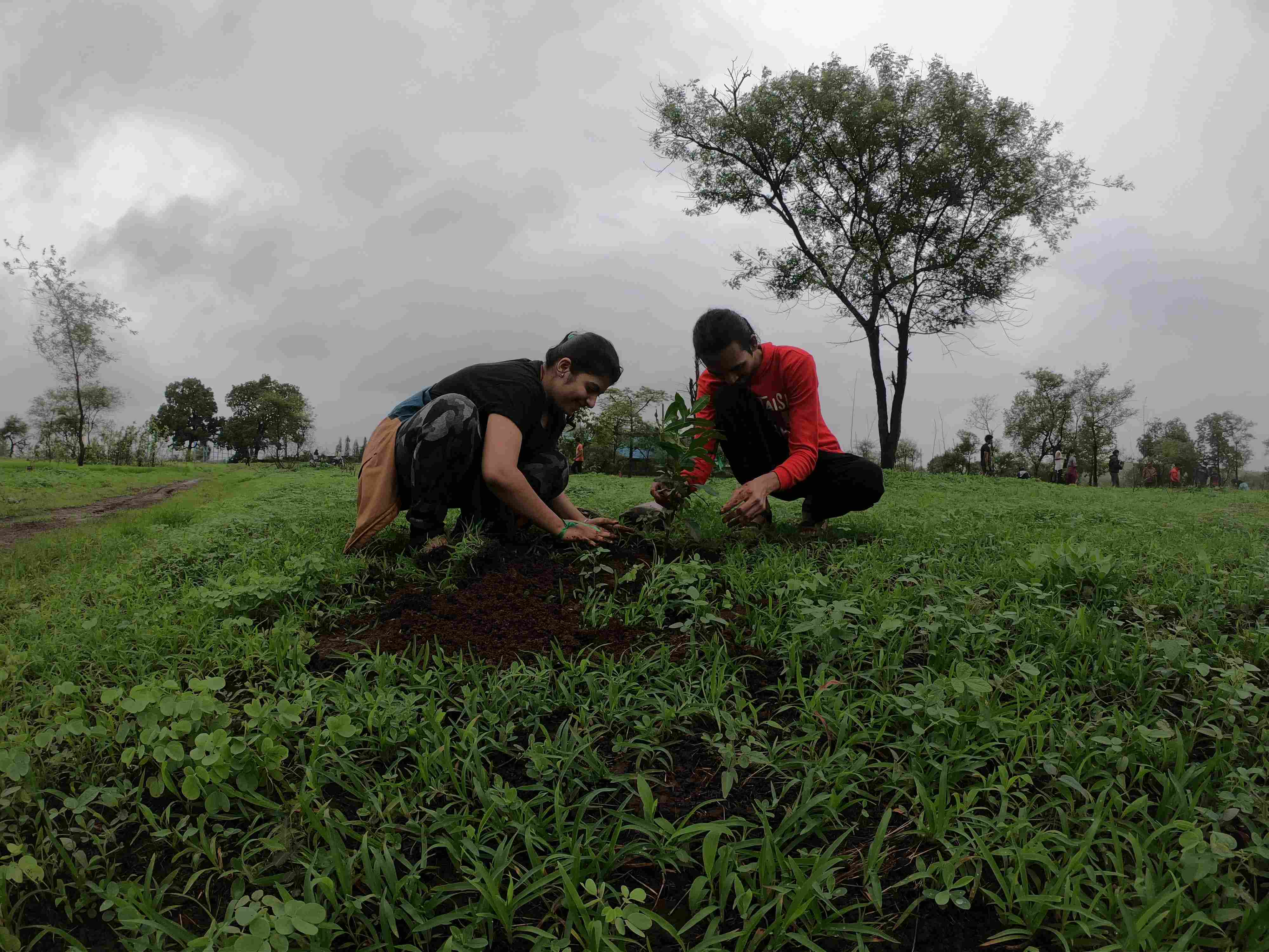 Junoon volunteers are planting a sample of tree.